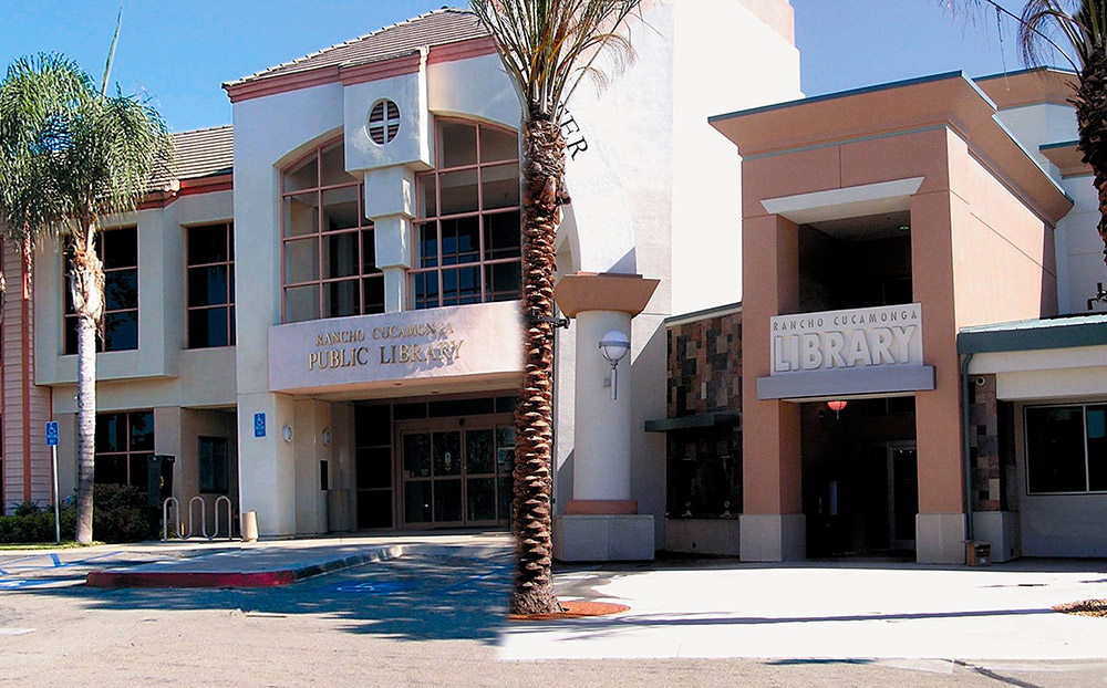 Donate Video Games to Local Library